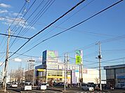 【レンタルビデオ】ワンダー　グーまで1020ｍ