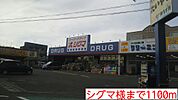 【ドラッグストア】シグマ様まで1100ｍ