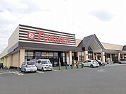 【スーパー】とりせん岩井店まで450ｍ