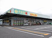 【ドラッグストア】杏林堂薬局清水三保店まで500ｍ