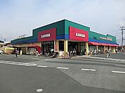【スーパー】カスミまで450ｍ
