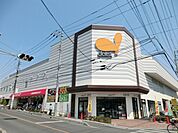 【スーパー】ダイエー 南浦和東口店まで800ｍ
