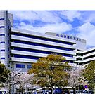 【総合病院】独立行政法人地域医療機能推進機構中京病院まで562ｍ
