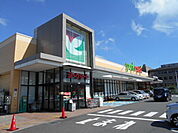【スーパー】ヨークマート秦野緑町店まで711ｍ