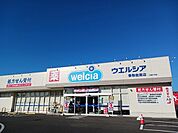 【ドラッグストア】ウェルシア香取佐原店まで500ｍ