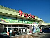 【スーパー】ヤオハン　城東店まで300ｍ