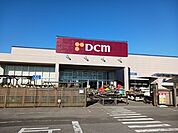 【ホームセンター】DCMまで600ｍ