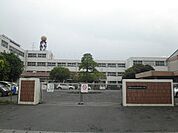 【小学校】静岡市立清水高部東小学校まで294ｍ