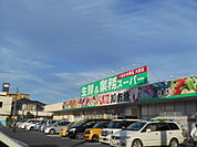 【スーパー】業務スーパー三郷店まで744ｍ