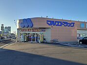 【ドラッグストア】マエルエドラッグ前橋西片貝店まで350ｍ