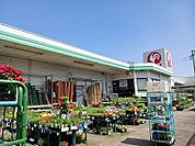 【ホームセンター】コメリまで400ｍ