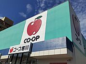 【スーパー】コープ寒川まで800ｍ