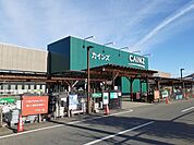 【ホームセンター】カインズ安中店まで1500ｍ