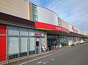 【ショッピングセンター】ベイシア安中店まで2400ｍ