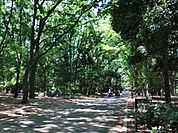 【公園】光が丘公園まで923ｍ