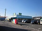【ドラッグストア】杏林堂袋井西田店まで485ｍ