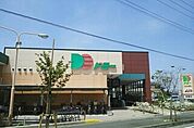 【スーパー】ドミーつつじが丘店まで389ｍ