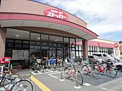 【スーパー】カスミFOODOFFストッカー川口末広店まで173ｍ