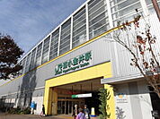 【駅】東小金井駅まで232ｍ