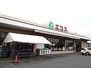 【スーパー】エコス　下館岡芹店まで800ｍ