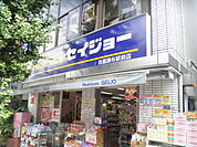 【ドラッグストア】セイジョー田園調布駅前店まで698ｍ