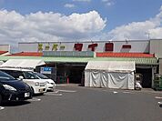 【スーパー】タイヨー竜ヶ崎店まで1190ｍ