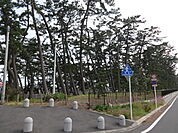 【公園】大浜公園まで740ｍ