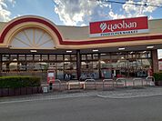 【スーパー】ヤオハン壬生店まで900ｍ