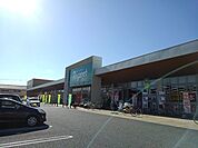 【スーパー】レガネット福津店まで1900ｍ