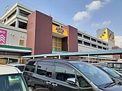 【ショッピングセンター】アピタパワー　木曽川店まで1600ｍ