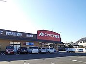 クスリのアオキ 南高野店まで1000ｍ