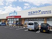 【ドラッグストア】ウエルシア高萩安良川店まで1300ｍ