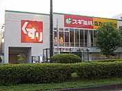 【ドラッグストア】スギ薬局鷹匠店まで650ｍ