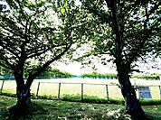 【公園】厚原スポーツ公園まで500ｍ