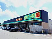【ドラッグストア】杏林堂ドラッグストア富士厚原店まで500ｍ