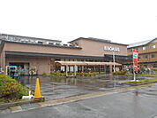 【スーパー】阪急オアシスかどの店まで506ｍ