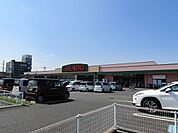 【スーパー】せんどう茂原店まで130ｍ