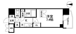 セレニテ本町東リアン 3階/-
