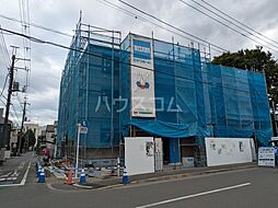 シリンケディ（Sirin Kedi）） B305