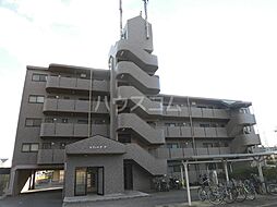 サフィニア・Ｆ