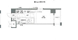 AELL亀有 9階1Kの間取り