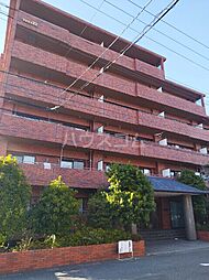 フローラルマキノ