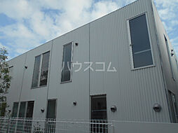 ニシオギソウ 01