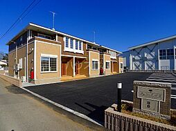 ビッグ・ツリー　IIＡ