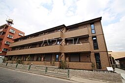 Ａｍｏｕｒ櫻花