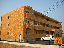 Ｔ・フェアリートキワ