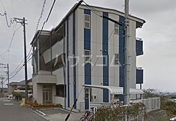 Ｈｉｌｌｓｉｄｅ山の神