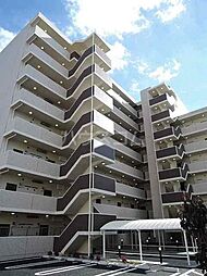 エクセルソフィア