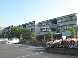 ＶＩＰ−ＩＮ太平洋サウスヒルズ