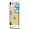 ガーデンセルリア5階4.9万円